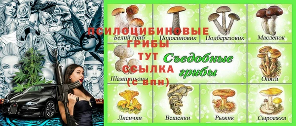 герыч Алзамай